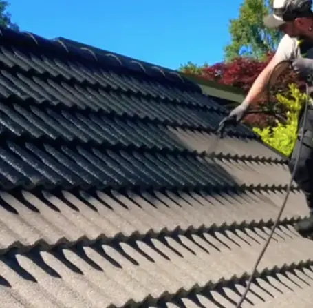 Can-you-paint-roof-shingles