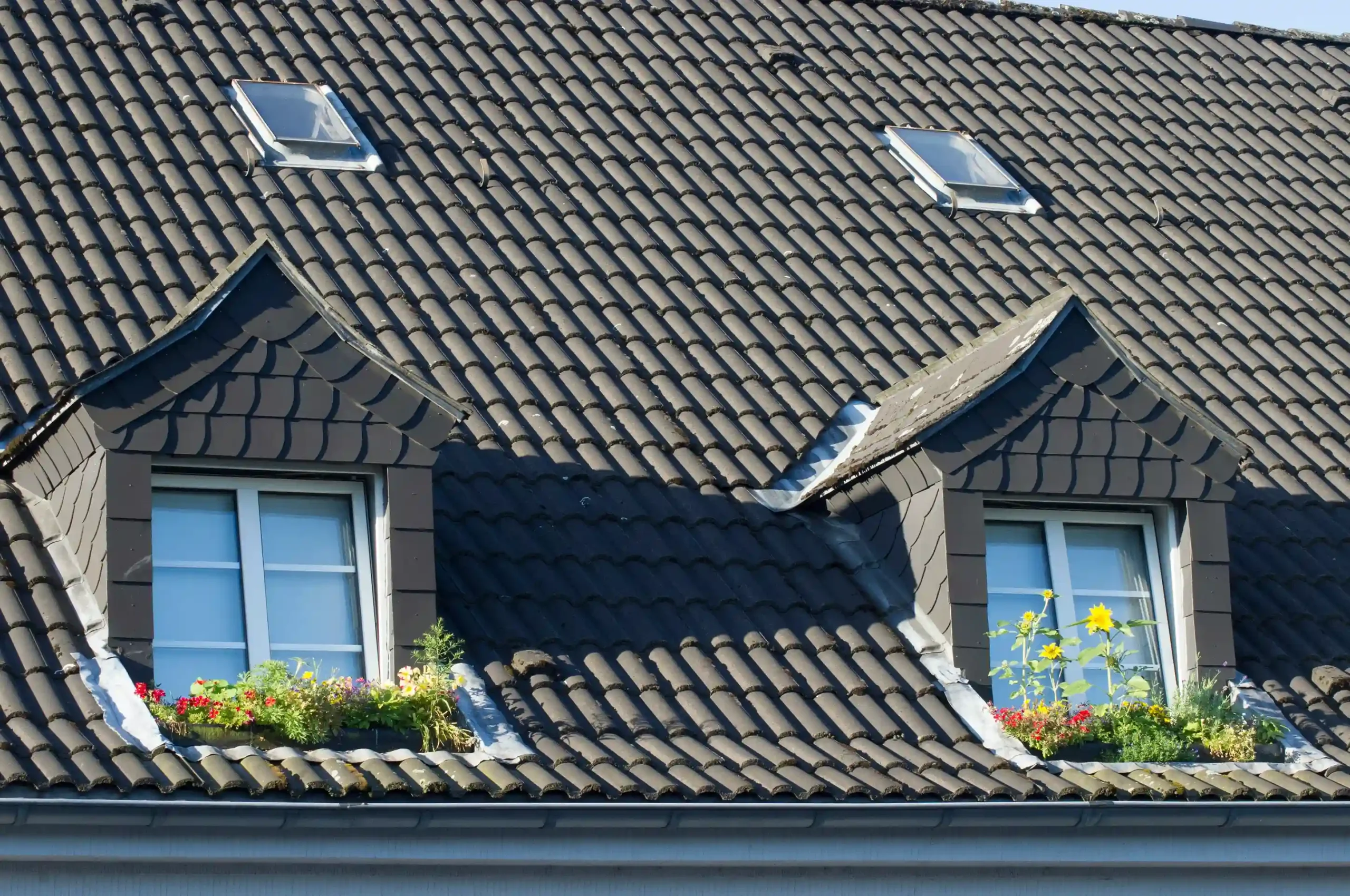 roof-maintenance tips_11zon